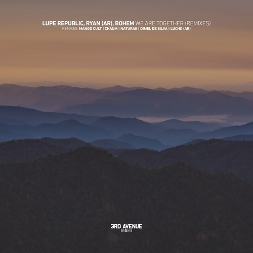 Lupe Republic & RYAN (AR) & Bohem - We Are Together (Remixes) [3AV342]